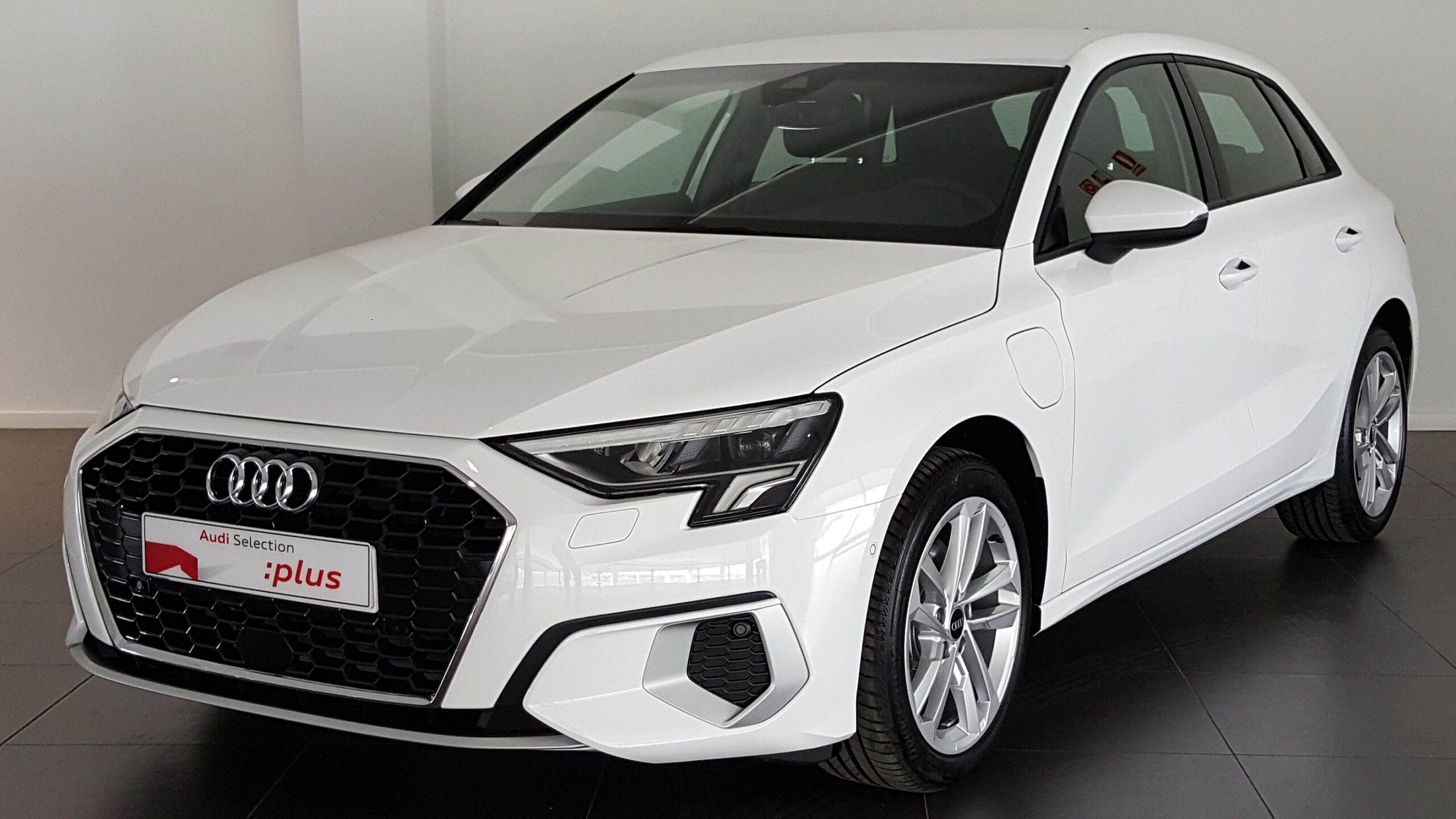 Placeholder Select Dynamic field