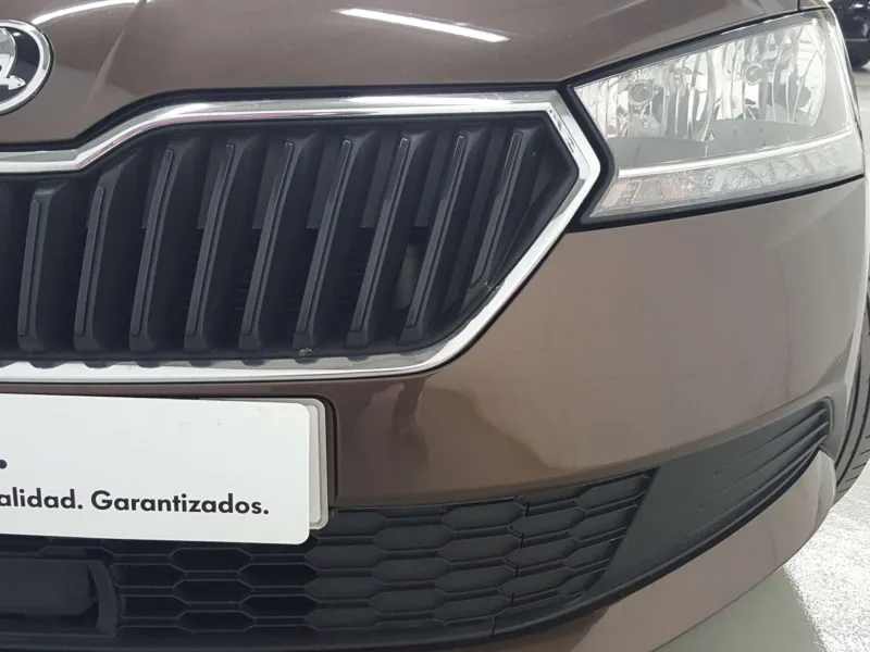 SKODA FABIA Gasolina 2019 de segunda mano