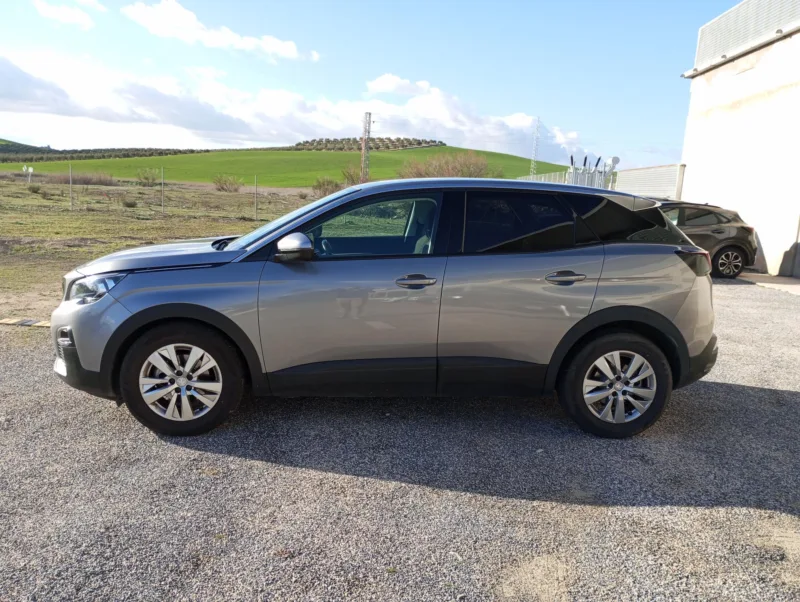 PEUGEOT 3008 Gasolina 2018 segunda-mano Jaén