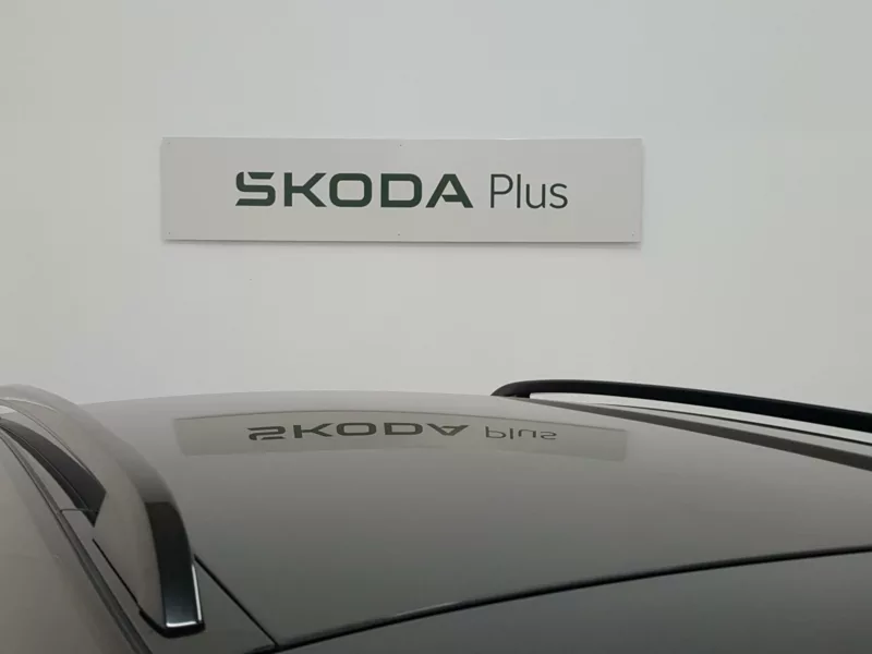 SKODA KAMIQ Gasolina 2023 segunda-mano Jaén