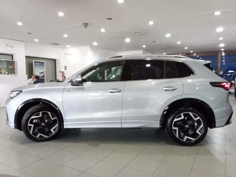 VOLKSWAGEN TIGUAN Diesel 2024 segunda-mano Jaén