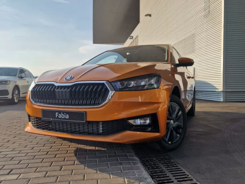 SKODA FABIA Gasolina 2024 km 0 Jaén