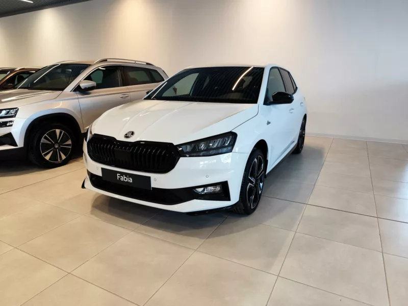 SKODA FABIA Gasolina 2024 km 0 Jaén