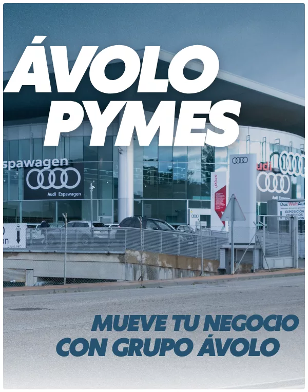 avolo pymes