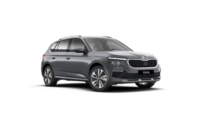 Skoda Kamiq Plus Jaén Gris Gasolina