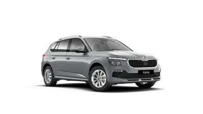 Skoda Kamiq Selection Jaén Gris Gasolina