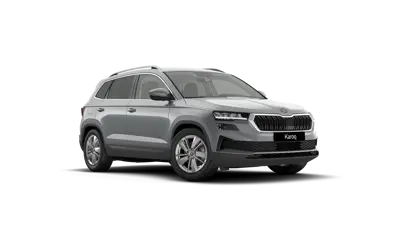 Skoda Karoq Selection Jaén Gris Gasolina