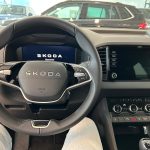 SKODA KAROQ Gasolina nuevo entrega inmediata Jaén