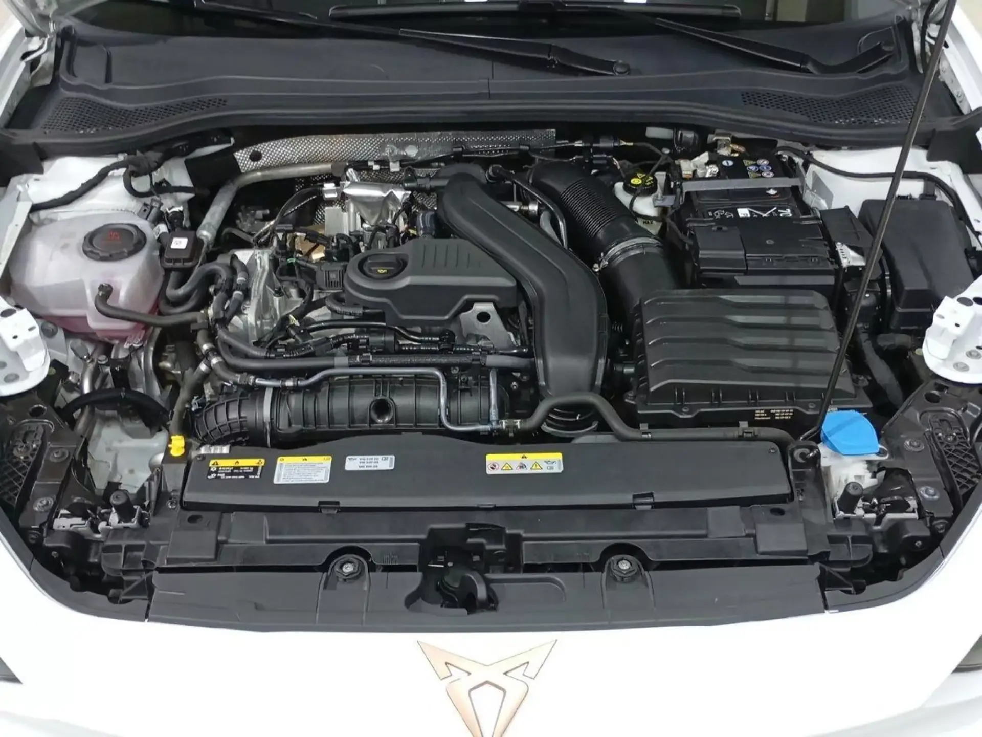 CUPRA LEON Hibrido 2025 km 0 Jaén