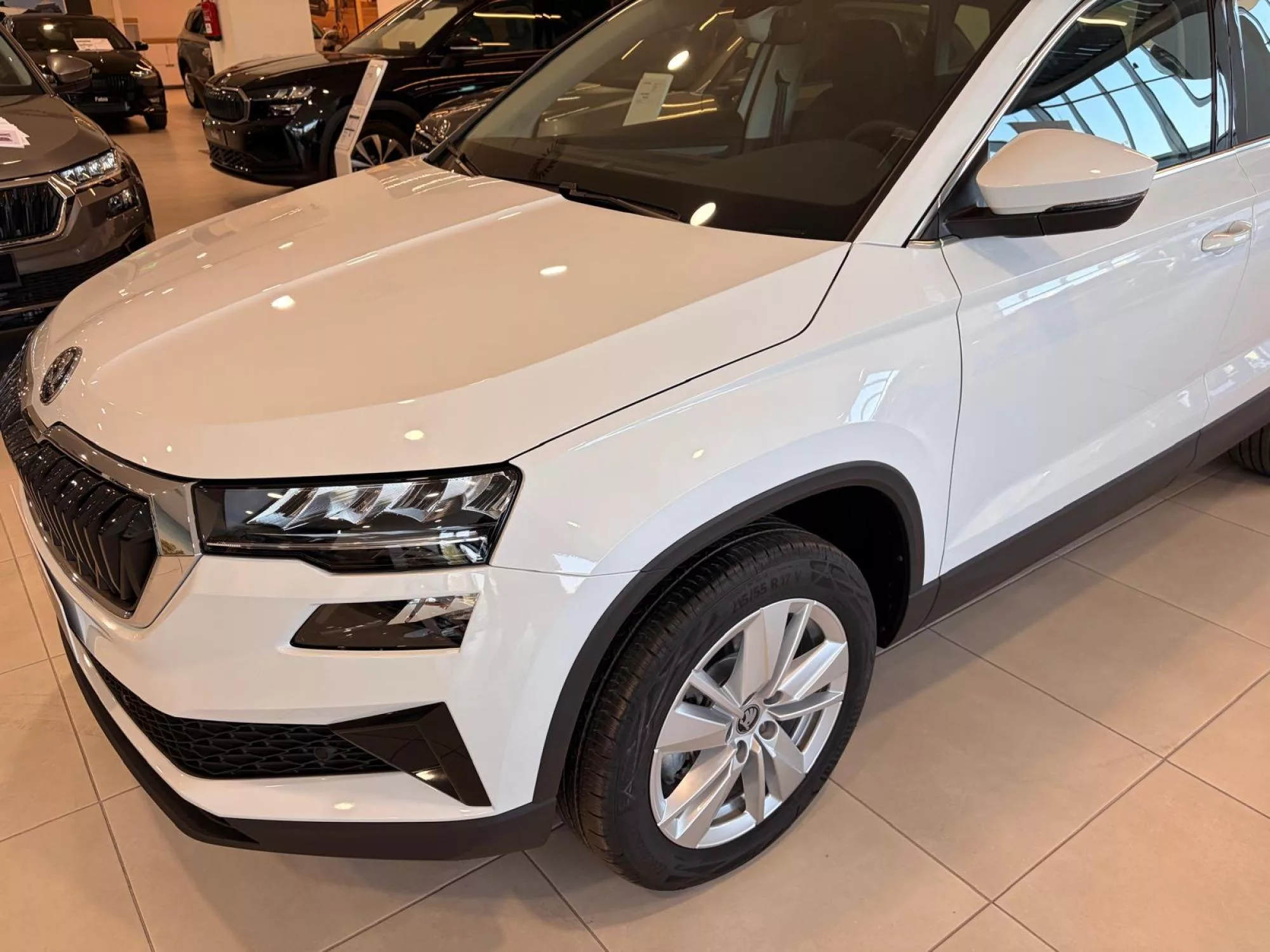 SKODA KAROQ Diesel nuevo entrega inmediata Jaén