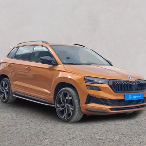 SKODA KAROQ Gasolina 2023 segunda-mano Jaén