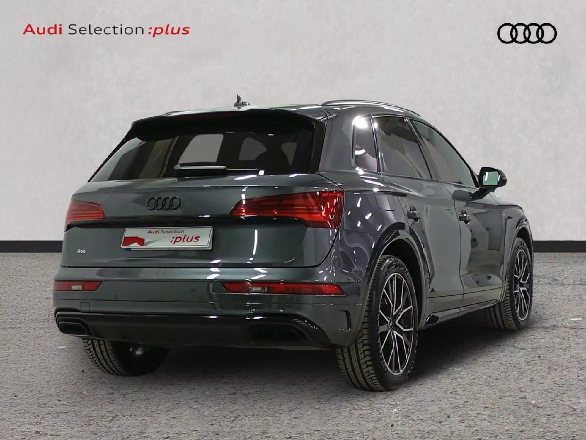 AUDI Q5 Diesel 2024 segunda-mano Jaén