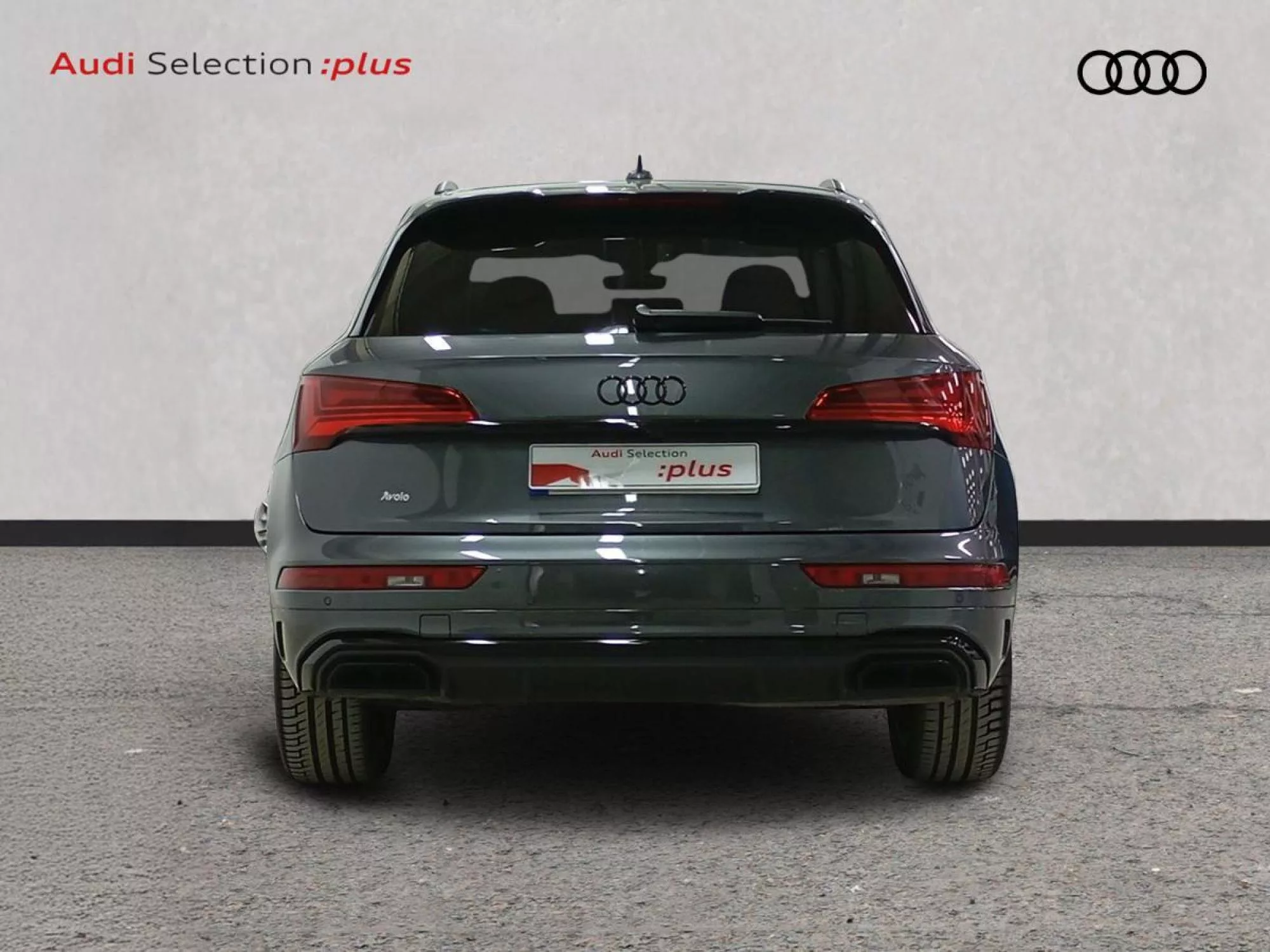 AUDI Q5 Diesel 2024 segunda-mano Jaén