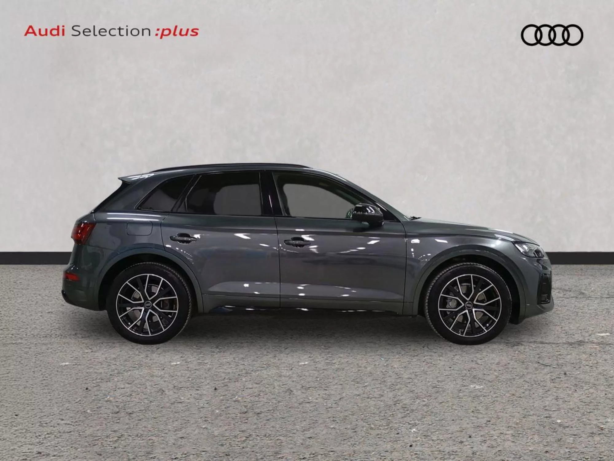 AUDI Q5 Diesel 2024 segunda-mano Jaén