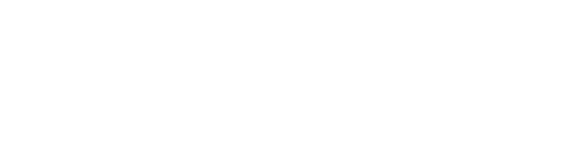 Audi selection plus